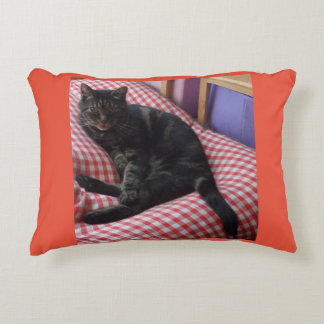 Niedliches Dave Accent Cushion Dekokissen