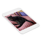 Niedliches Dave Flexible Foto Magnet (Rechte Seite)