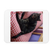 Niedliches Dave Flexible Foto Magnet (Horizontal)