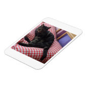 Niedliches Dave Flexible Foto Magnet (Linke Seite)