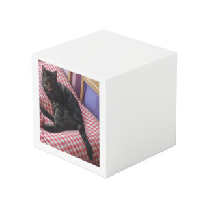 Niedliches Dave Square Foto Cube Würfel
