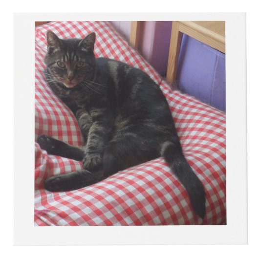 Niedliches Dave Square Foto Cube Würfel (Vorderseite)