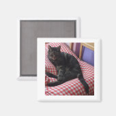 Niedliches Dave Square Magnet (Vorderseite/Rückseite)