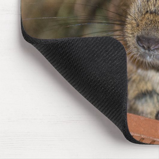 Niedliches Degu Mousepad (Ecke)