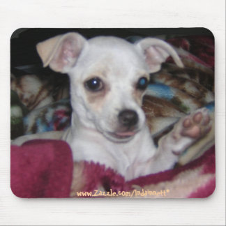 Niedliches Dog-MousePad. Mousepad
