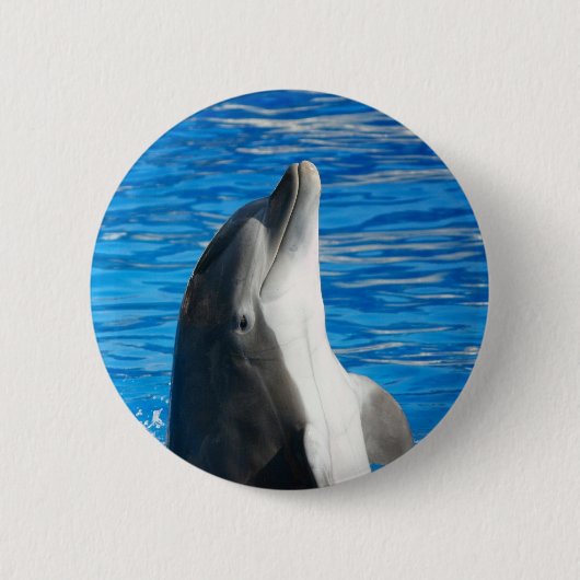 Niedliches Dolphin Beach Peace Liebe Party Zielort Button (Vorderseite)