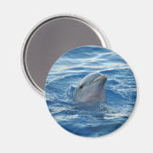 Niedliches Dolphin-Gesicht im Ozean Magnet (Vorderseite/Rückseite)