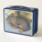 Niedliches Douglas Squirrel Nature Foto Metall Brotdose (Rückseite)