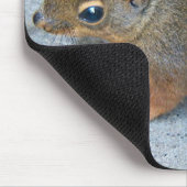 Niedliches Douglas Squirrel Nature Foto Mousepad (Ecke)