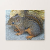 Niedliches Douglas Squirrel Nature Foto Puzzle (Horizontal)