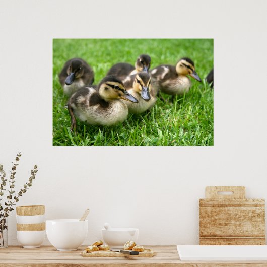 Niedliches Ducklings Poster (Küche)