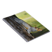 Niedliches Eastern Gray Eichhörnchen Nature Foto Notizblock (Rechte Seite)