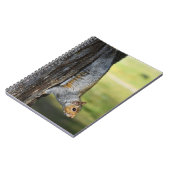 Niedliches Eastern Gray Eichhörnchen Nature Foto Notizblock (Linke Seite)