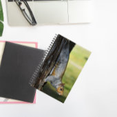 Niedliches Eastern Gray Eichhörnchen Nature Foto Notizblock