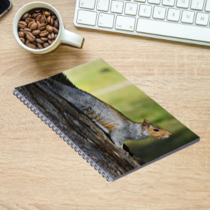 Niedliches Eastern Gray Eichhörnchen Nature Foto Notizblock