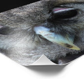 Niedliches Ei Fotodruck (Ecke)