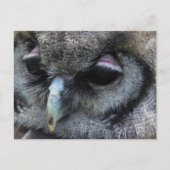 Niedliches Ei Postkarte (Vorderseite)