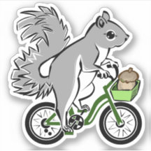 Niedliches Eichhörnchen auf dem Fahrrad