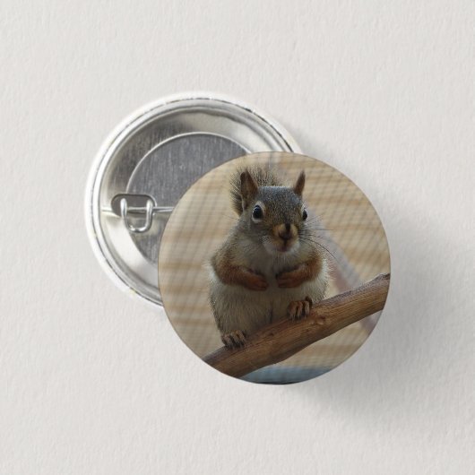 Niedliches Eichhörnchen auf dem Zweig Button (Vorne & Hinten)