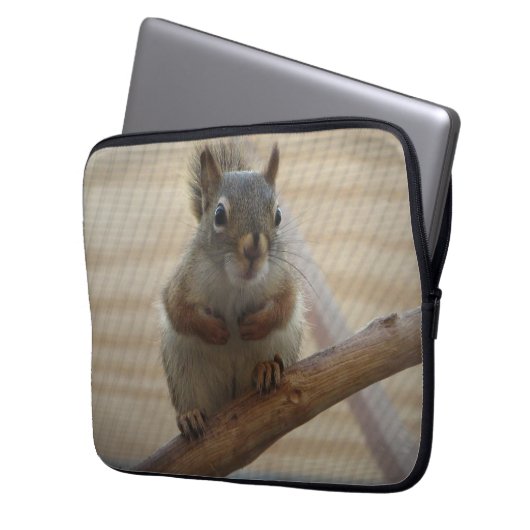 Niedliches Eichhörnchen auf dem Zweig Laptopschutzhülle (Vorderseite Links)