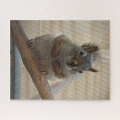 Niedliches Eichhörnchen auf dem Zweig Puzzle (Horizontal)