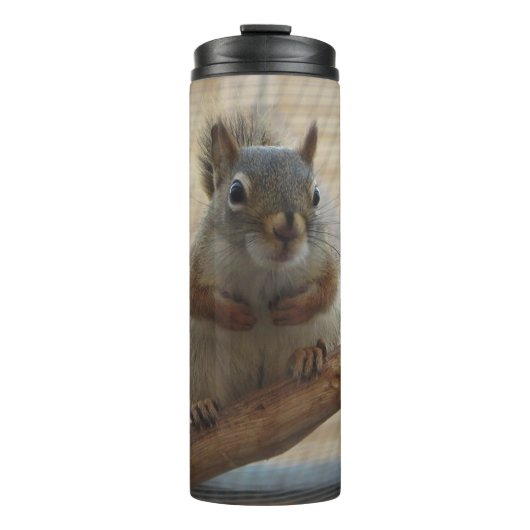 Niedliches Eichhörnchen auf dem Zweig Thermosbecher (Vorderseite)