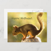 Niedliches Eichhörnchen auf einem Keksjar Postkarte (Vorne/Hinten)