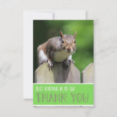 Niedliches Eichhörnchen auf Zaun-Flat Dankeschön-K Dankeskarte (Vorderseite)