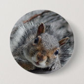 Niedliches Eichhörnchen Button (Vorderseite)