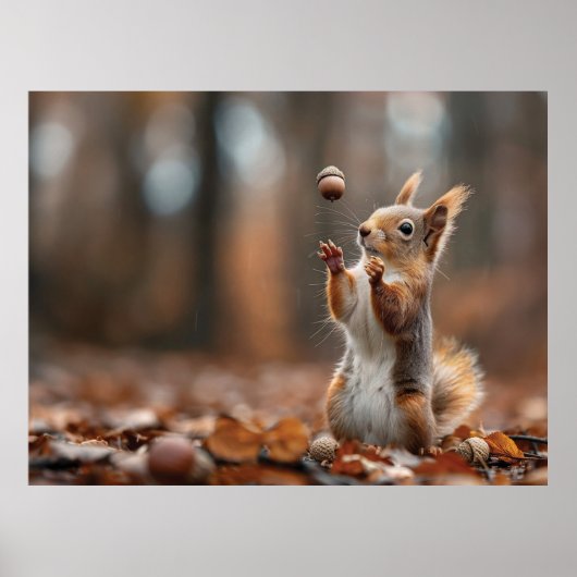 Niedliches Eichhörnchen, das eine Eichel fängt Poster (Vorne)