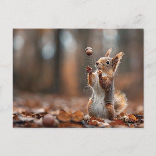 Niedliches Eichhörnchen, das eine Eichel fängt Postkarte (Vorderseite)