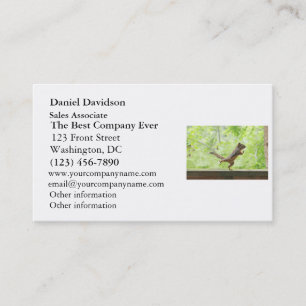 Niedliches Eichhörnchen, das Tai-Chi tut Visitenkarte