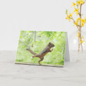 Niedliches Eichhörnchen Doing Tai Chi Karte (Gelbe Blume)