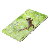 Niedliches Eichhörnchen Doing Tai Chi Magnet (Linke Seite)