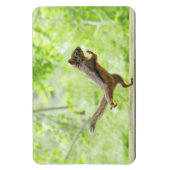 Niedliches Eichhörnchen Doing Tai Chi Magnet (Vertikal)