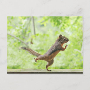 Niedliches Eichhörnchen Doing Tai Chi Postkarte