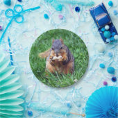 Niedliches Eichhörnchen-Erdnuss-Foto Pappteller (Party)