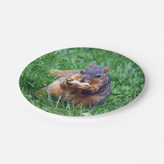 Niedliches Eichhörnchen-Erdnuss-Foto Pappteller (Schrägansicht)