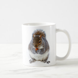 Niedliches Eichhörnchen Ess ein Nut-Foto Kaffee T Kaffeetasse