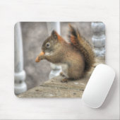 Niedliches Eichhörnchen Ess eines Erdnuss Wildlife Mousepad (Mit Mouse)