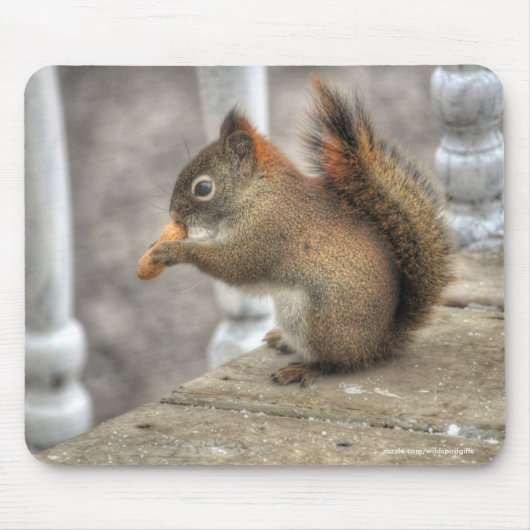 Niedliches Eichhörnchen Ess eines Erdnuss Wildlife Mousepad (Vorne)