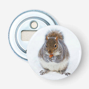 Niedliches Eichhörnchen Ess eines Nut Bottle Open Flaschenöffner