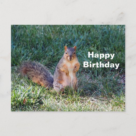Niedliches Eichhörnchen Foto Geburtstag Postkarte (Vorderseite)