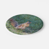 Niedliches Eichhörnchen-Foto Pappteller (Schrägansicht)