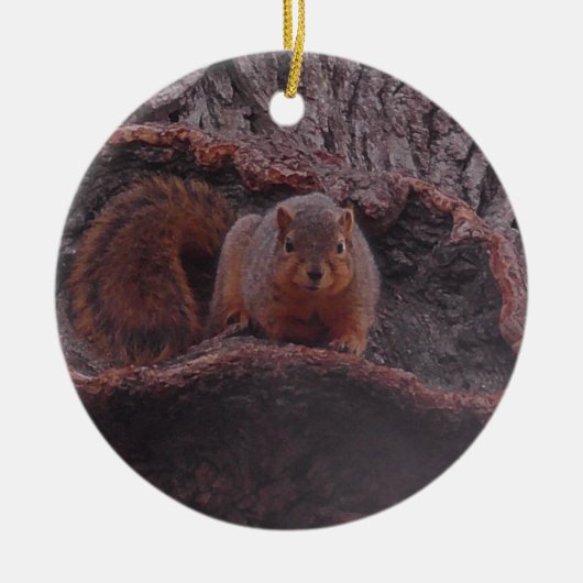 Niedliches Eichhörnchen-Foto Personalisiert Keramik Ornament (Vorne)