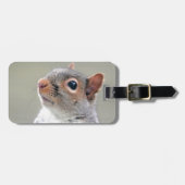 Niedliches Eichhörnchen Gepäckanhänger (Vorderseite horizontal)