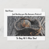 Niedliches Eichhörnchen "I Miss YOU" Sprichwort Hi Postkarte (Vorne/Hinten)