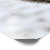 Niedliches Eichhörnchen im Schnee-Foto Fotodruck (Ecke)