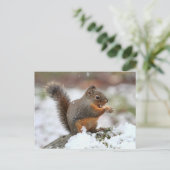 Niedliches Eichhörnchen im Schnee-Foto Postkarte (Stehend Vorderseite)