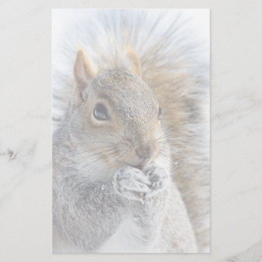 Niedliches Eichhörnchen im Winter Briefpapier (Vorderseite)